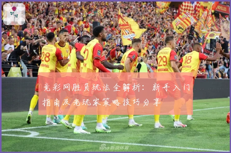 竞彩网胜负玩法全解析：新手入门指南及老玩家策略技巧分享