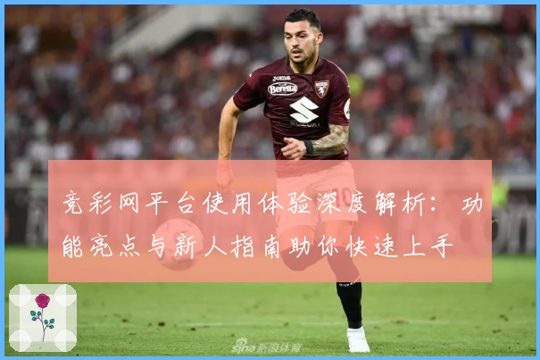 竞彩网平台使用体验深度解析:功能亮点与新人指南助你快速上手