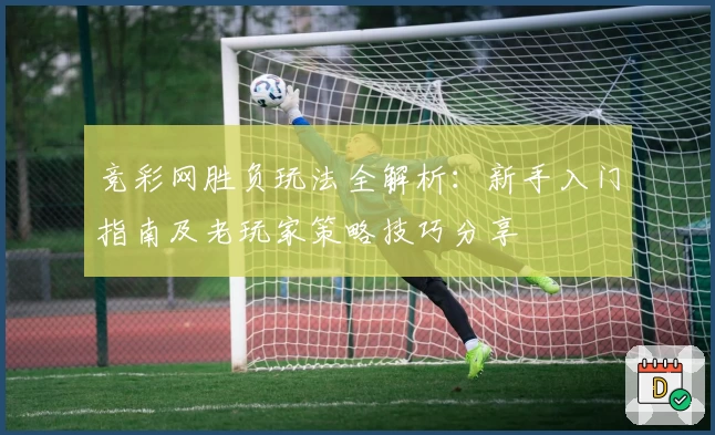 竞彩网胜负玩法全解析：新手入门指南及老玩家策略技巧分享