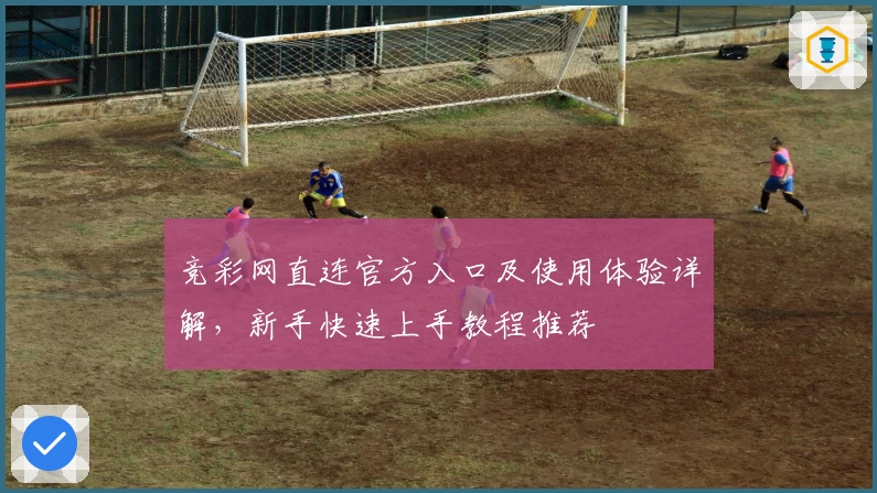 竞彩网直连官方入口及使用体验详解，新手快速上手教程推荐