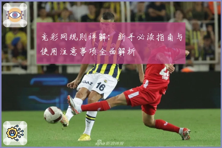 竞彩网规则详解：新手必读指南与使用注意事项全面解析
